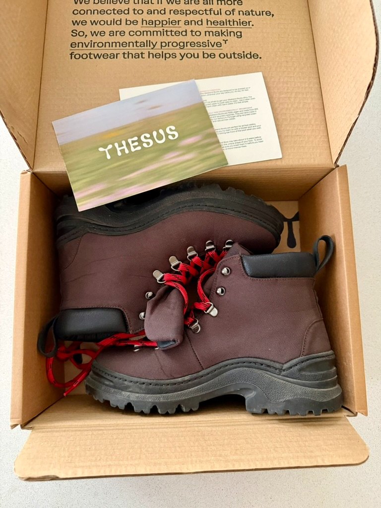Thesus — image 4 of 5